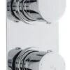 Hudson Reed Reign Twin Conc Thermo Valve Rt Plt - Rei3410 -Purestream Shower Shop hudson reed reign twin conc thermo valve rt plt rei3410 1
