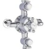 Nuie Triple Exposed Thermo Shower Valve - A3089e -Purestream Shower Shop nuie triple exposed thermo shower valve a3089e 1