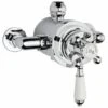 Nuie Premier Traditional Dual Exposed Thermo Valve - A3091e -Purestream Shower Shop premier traditional dual exposed thermo valve a3091e